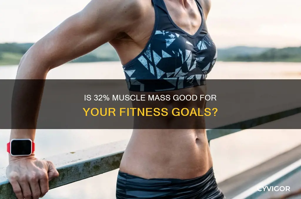 is 32 muscle mass good