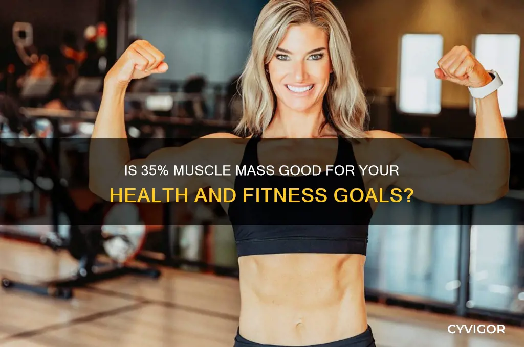 is 35 muscle mass good