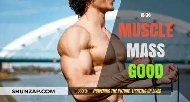 Is 36% Muscle Mass Healthy? Understanding Body Composition Goals