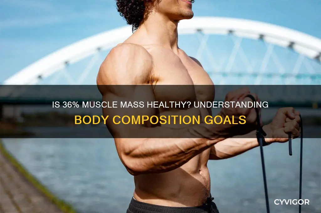 is 36 muscle mass good