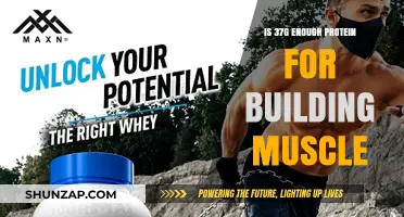 Fueling Muscle Growth: Is 37 Grams of Protein Enough?