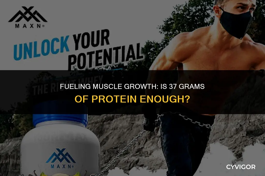 is 37g enough protein for building muscle