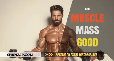 Is 38% Muscle Mass Good for Your Health and Fitness?