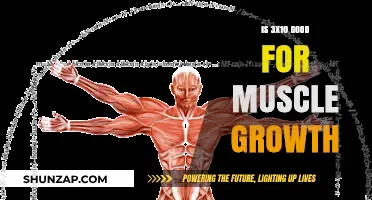 Is 3x10 Rep Scheme Effective for Building Muscle Mass?