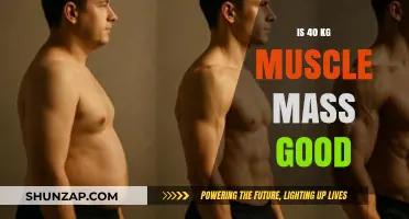 Is 40 kg Muscle Mass Good for Your Fitness Goals?