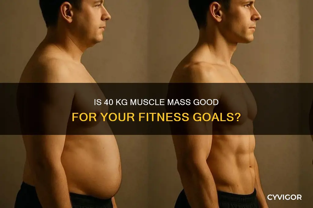 is 40 kg muscle mass good