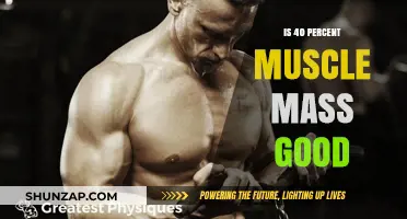 Is 40% Muscle Mass Good for Your Health and Fitness Goals?