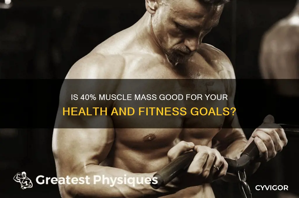 is 40 percent muscle mass good