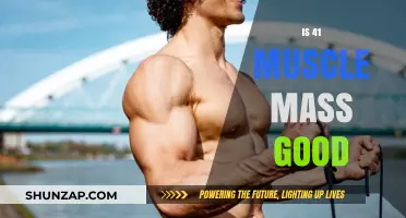 Is 41% Muscle Mass Good for Your Health and Fitness?