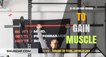 Can a 45-Lb Barbell Alone Build Muscle Effectively?