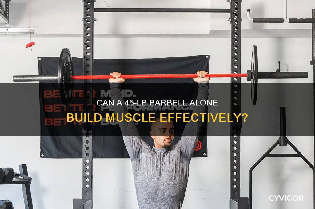 is 45 lbs bar enough to gain muscle