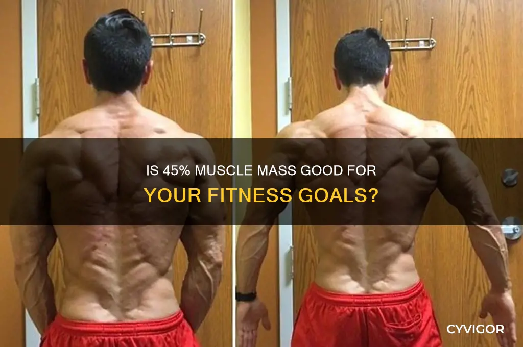 is 45 muscle mass good