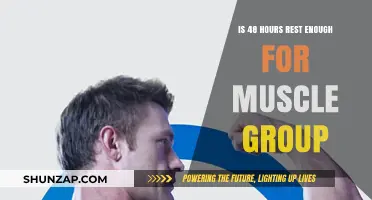 Is 48 Hours of Rest Sufficient for Optimal Muscle Recovery?