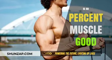 Is 48 Percent Muscle Good? Understanding Body Composition and Fitness Goals