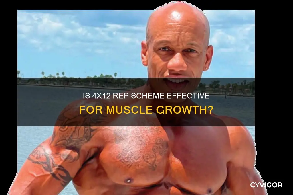is 4x12 good for muscle