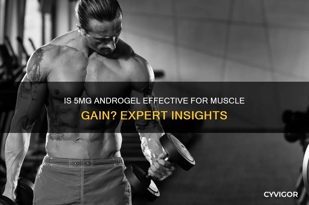is 5 mg of androgel enough for gaining muscle