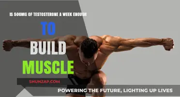 Is a Weekly 500mg Testosterone Dosage Sufficient for Muscle Building?