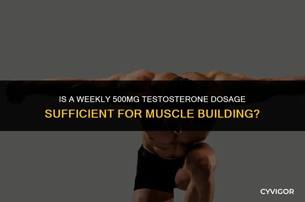 is 500mg of testosterone a week enough to build muscle