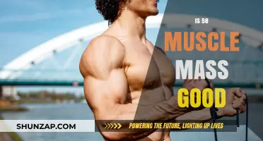 Is 58% Muscle Mass Good for Your Health and Fitness?