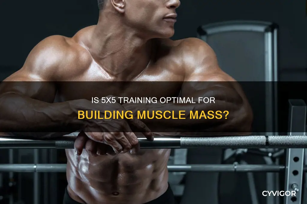 is 5x5 good for muscle growth