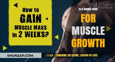 Is Six Hours of Training Weekly Optimal for Muscle Growth?
