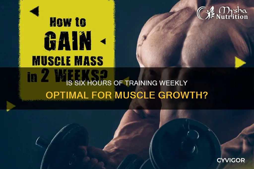 is 6 hours good for muscle growth