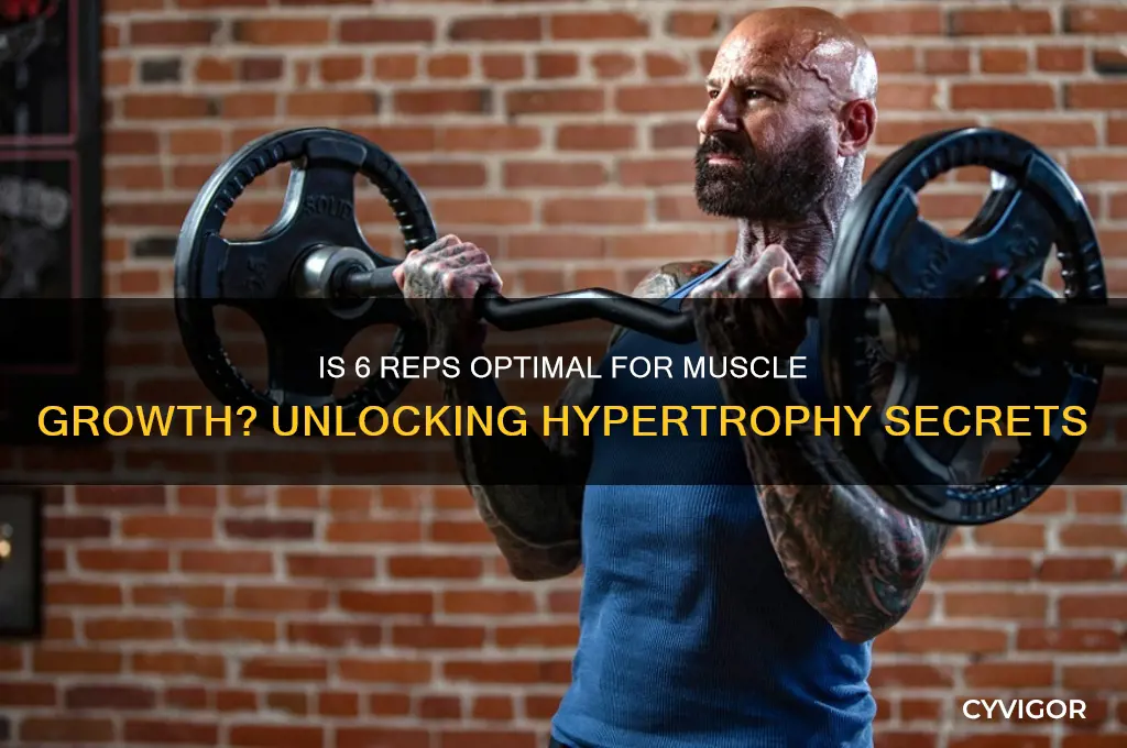 is 6 reps good for muscle growth