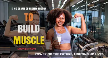 Fueling Muscle Growth: Is 60 Grams of Protein Enough?