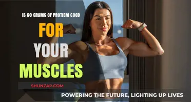 Is 60 Grams of Protein Optimal for Muscle Growth and Recovery?