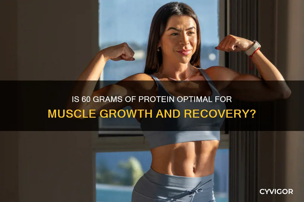 is 60 grams of protiem good for your muscles