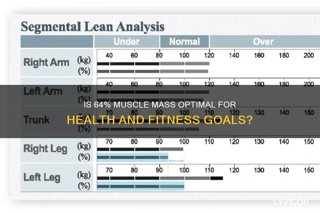 is 64 muscle mass good