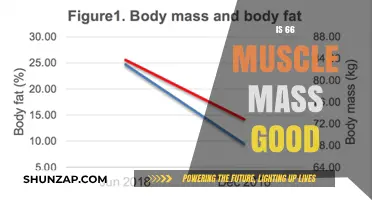 Is 66% Muscle Mass Good for Your Fitness Goals?