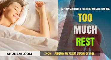 Is a Week-Long Rest Optimal for Muscle Recovery and Growth?