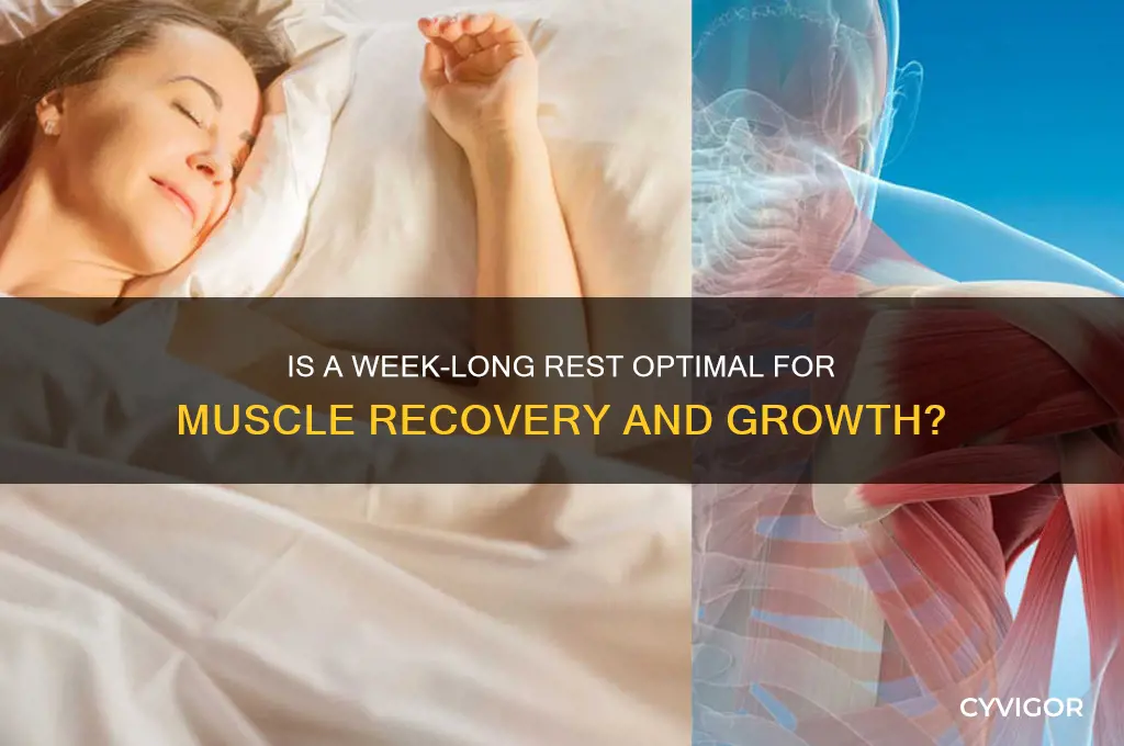 is 7 days between training muscle groups too much rest