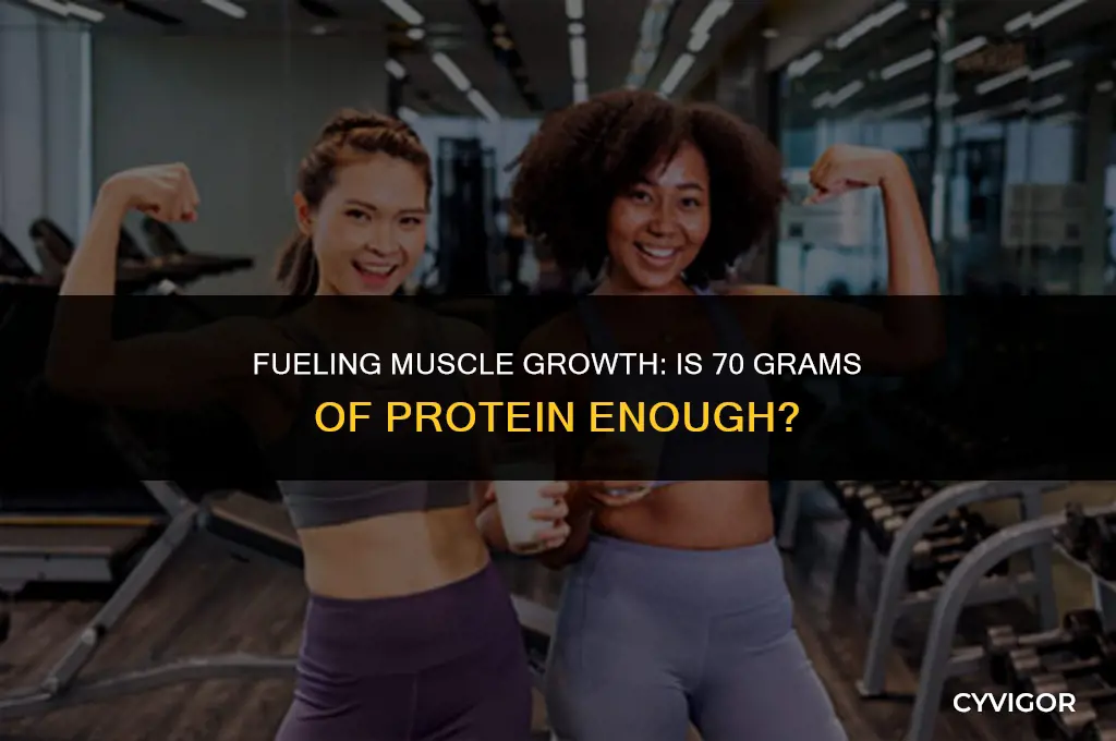 is 70 grams of protein enough to build muscle