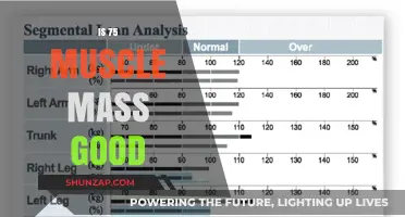 Is 75% Muscle Mass Ideal for Your Fitness Goals?