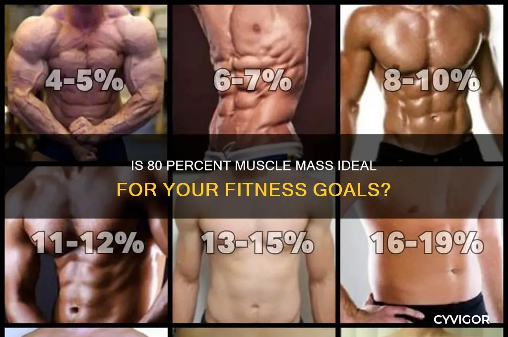 is 80 percent muscle mass good