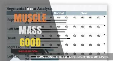 Is 85% Muscle Mass Good for Your Fitness Goals?