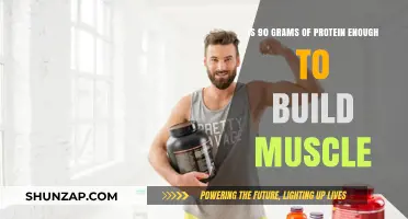 Fueling Muscle Growth: Is 90 Grams of Protein Enough?