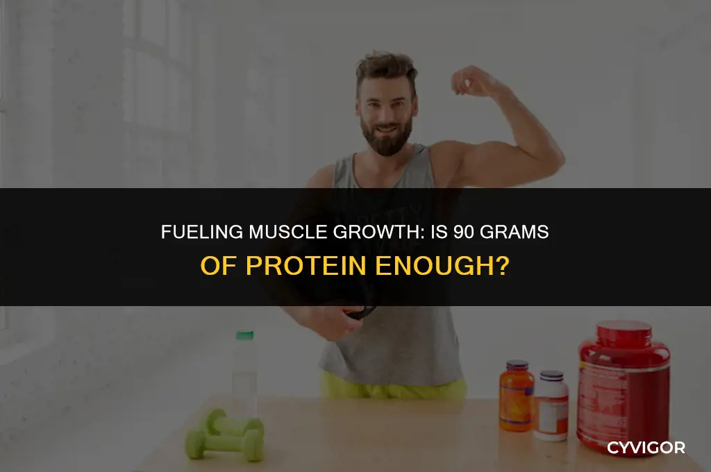 is 90 grams of protein enough to build muscle