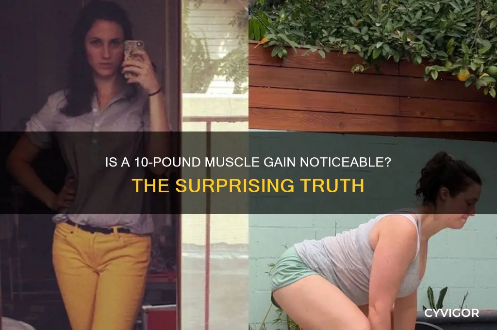 is a 10 pound muscle gain noticeable
