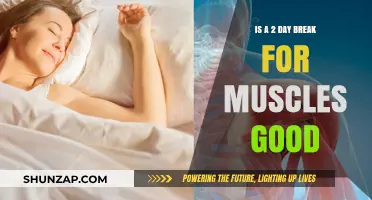 Muscle Recovery: Benefits of a Two-Day Rest Period Explained