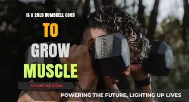 Can 20lb Dumbbells Effectively Build Muscle? A Comprehensive Guide
