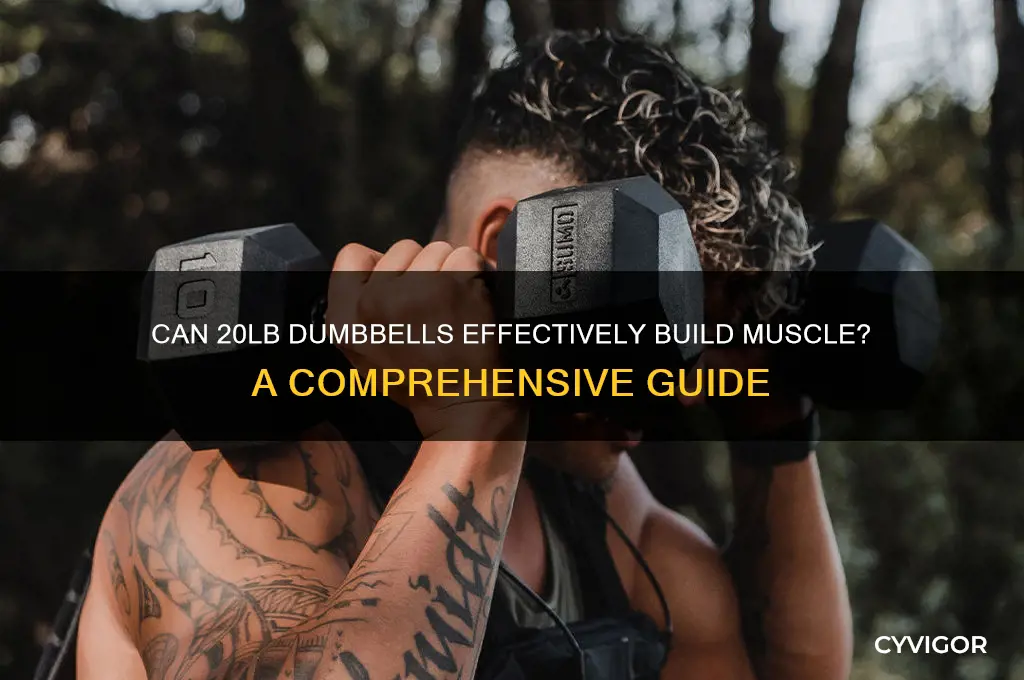 is a 20lb dumbbell good to grow muscle
