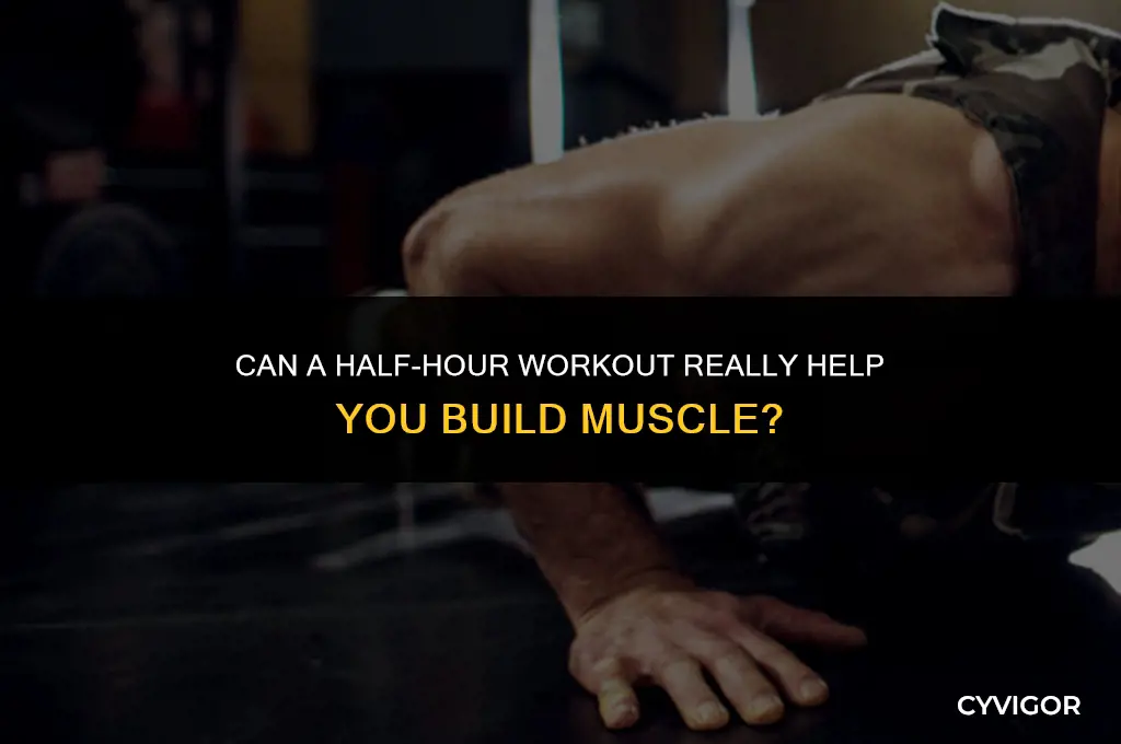 is a 30 minute workout enough to build muscle