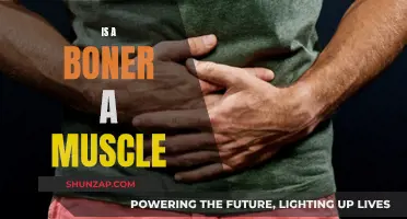The Science Behind Erections: Is It Muscular?