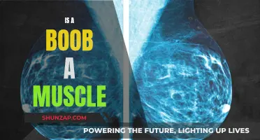 The Ultimate Truth: Are Breasts Muscles or Something Else?