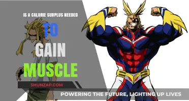 Calorie Surplus for Muscle Gain: Essential or Optional?