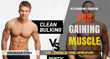 Clean Eating vs. Muscle Gain: Is a Clean Diet Essential?