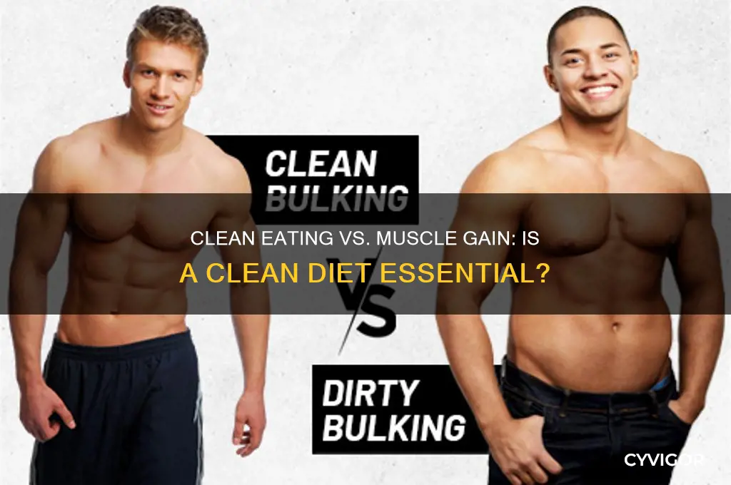 is a clean diet essential for gaining muscle